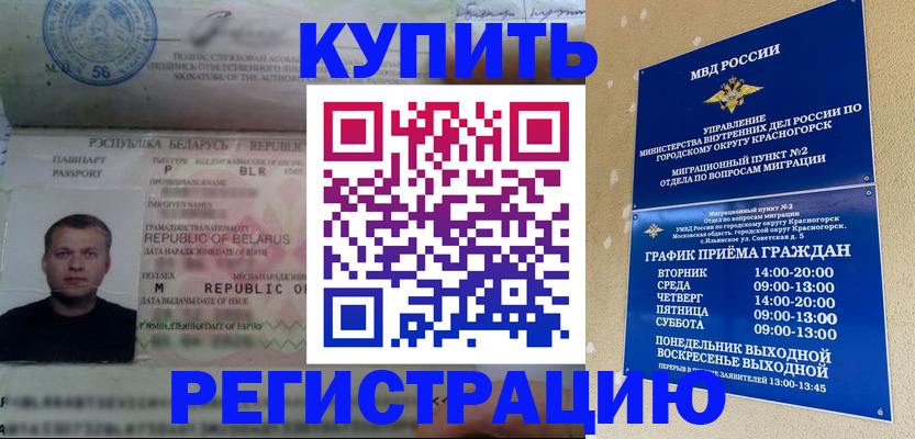 прописка законно в Алейске